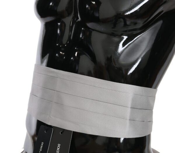 1188739.jpg Elegant Silk Gray Cummerbund