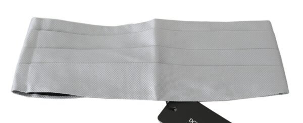 1188742.jpg Elegant Silk Gray Cummerbund