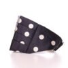 Elegant Silk Black Polka Dot Cummerbund