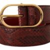 1604217.jpg Elegant Red Snakeskin Leather Belt
