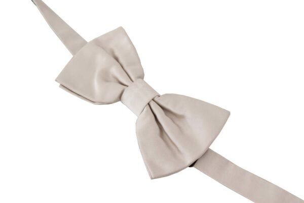 2963579.jpg Exquisite Silk Gray Bow Tie