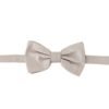 2963583.jpg Exquisite Silk Gray Bow Tie
