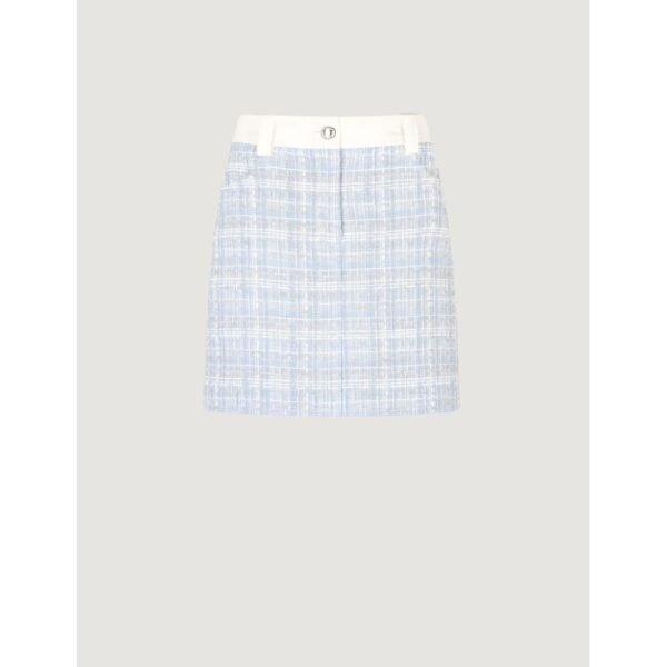 4776012.jpeg Blue Polyester Skirt