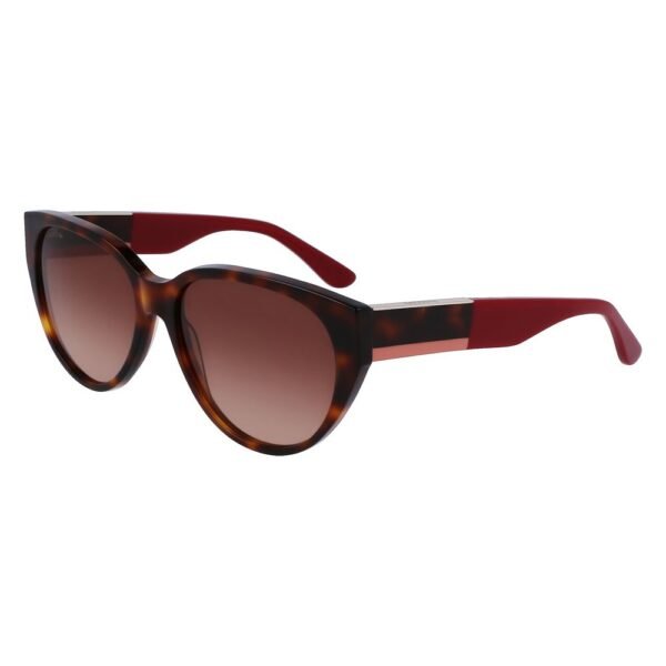 5097724.jpeg Brown Acetate Sunglasses