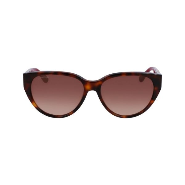 5097725.jpeg Brown Acetate Sunglasses