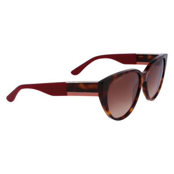 5097726.jpeg Brown Acetate Sunglasses
