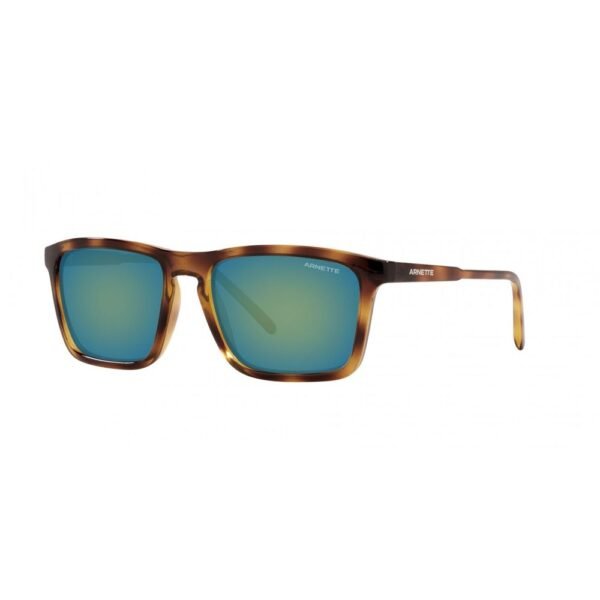 6162803.jpeg Brown Acetate Sunglasses