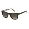 Brown Haircalf Sunglasses