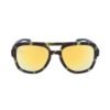 Brown Acetate Sunglasses