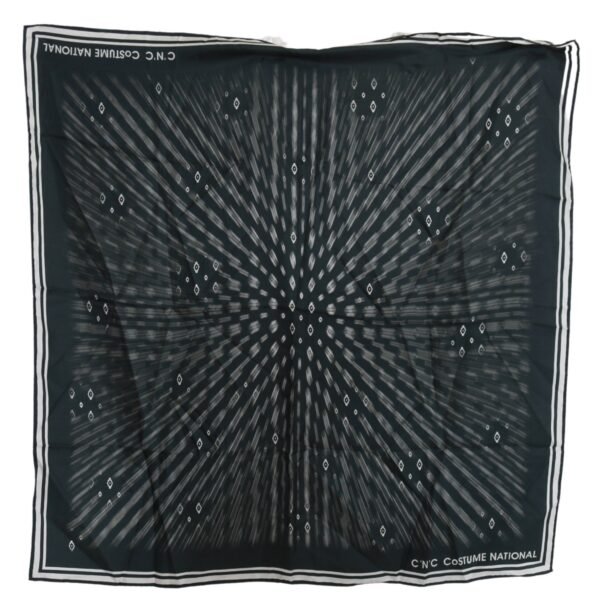 1293435.jpg Elegant Silk Printed Blue Scarf