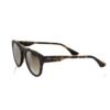 1595178.jpg Brown Acetate Men Sunglass