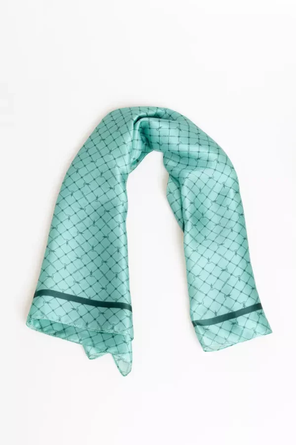4119548.webp Light Blue Silk Women Scarf