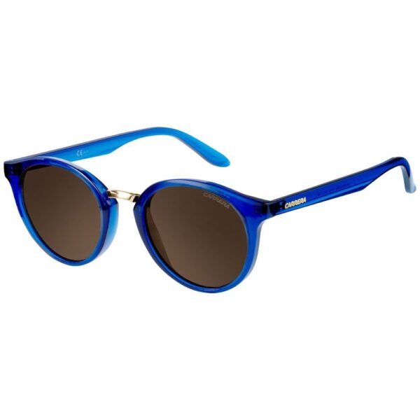 4679664.jpeg Blue Acetate Sunglasses