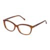 Brown Acetate Frames