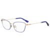Blue Metal Frames