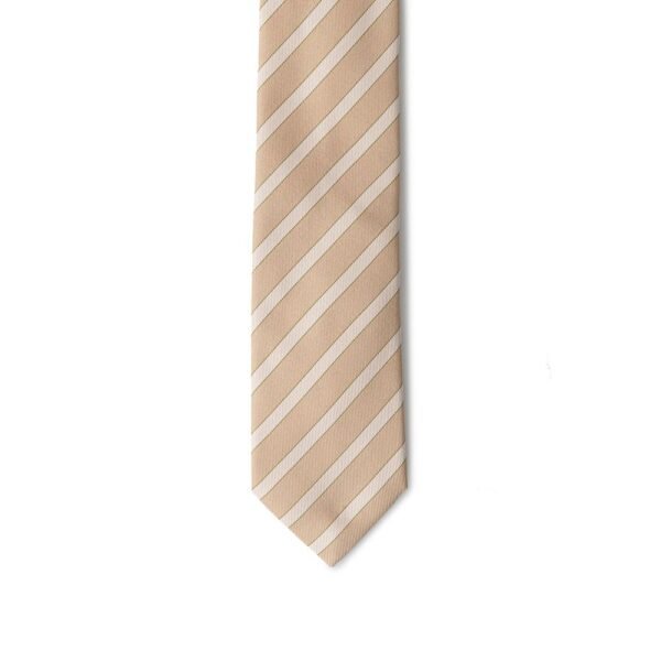 6252336.jpeg Gold Silk Ties & Bowty