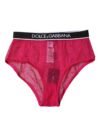 Fuchsia Tulle Nylon Mid Waist Panty Underwear