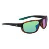Brown Injected Sunglasses