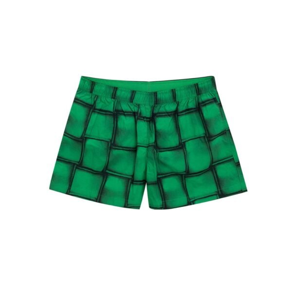 7027165.jpeg Green Polyamide Swim Short