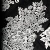 Black Floral Lace Short Sleeves Mini Dress