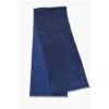Solid Color Silk Foulard