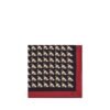 Petit Charles silk Scarf