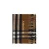 Archivio Check Scarf