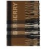 Archivio Check Scarf