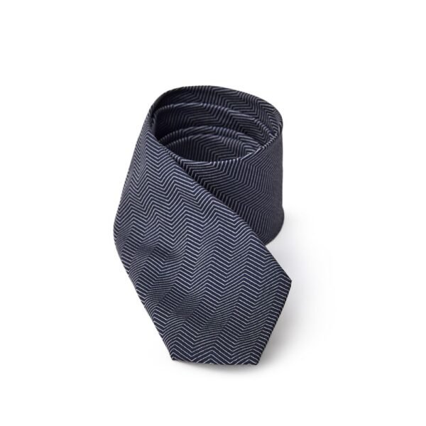 7481721.jpeg Blue Silk Ties & Bowty