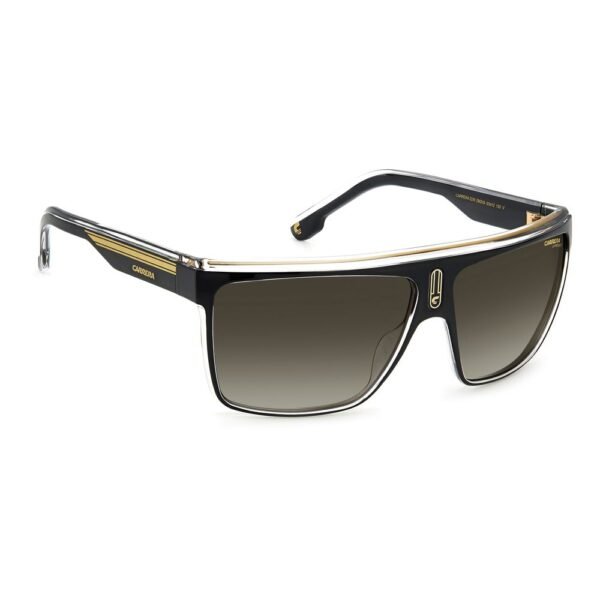 7482096.jpeg Black Resin Sunglasses