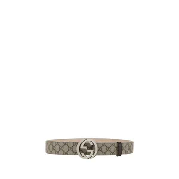 7496442.jpeg Belt