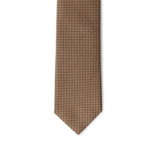 7732456.jpeg Bicolor Silk Ties & Bowty