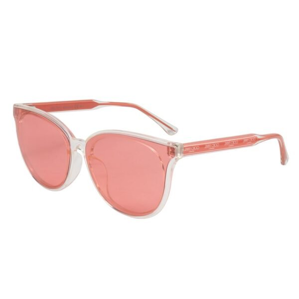 4691260.jpeg Transparent Acetate Sunglasses