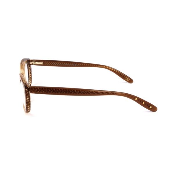 4709493.jpeg Bicolor Acetate Frames