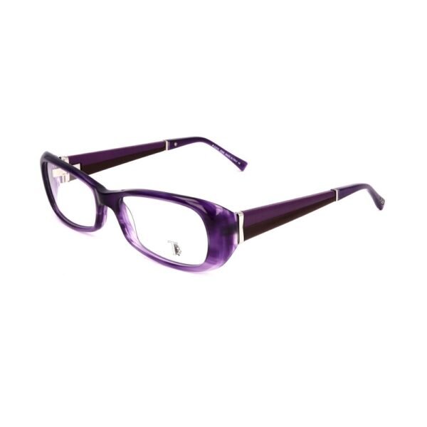 4731116.jpeg Purple Acetate Frames