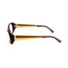 Brown Acetate Frames