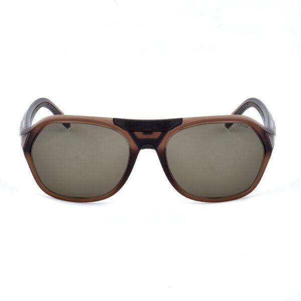 6161586.jpeg Brown Injected Sunglasses