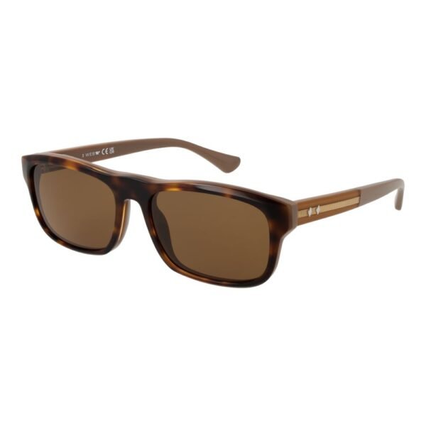 7587873.jpeg Brown Men Sunglasses