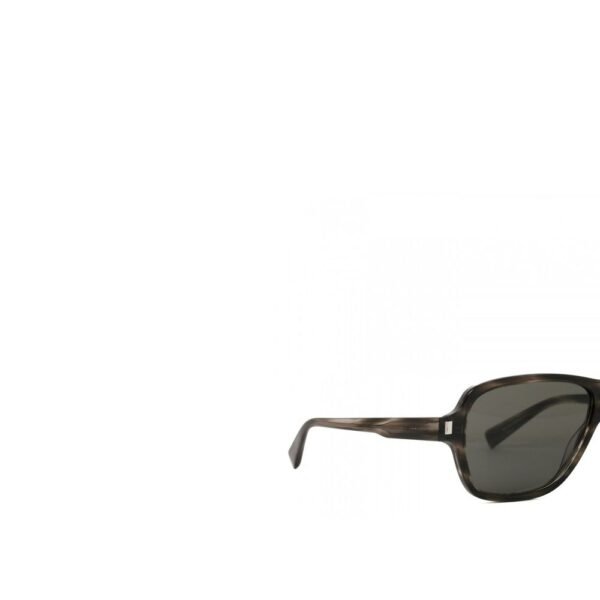 8287369.jpeg 609 Aviator Sunglasses