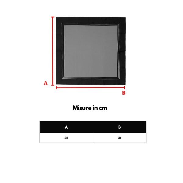 8030502.jpeg Light Blue Silk Pocket Square