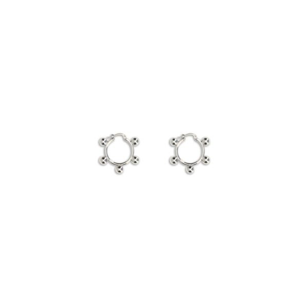 8996419.jpeg EARRINGS 1338