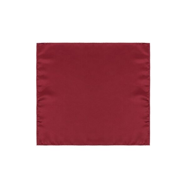 9061619.jpeg Red Silk Pocket Square
