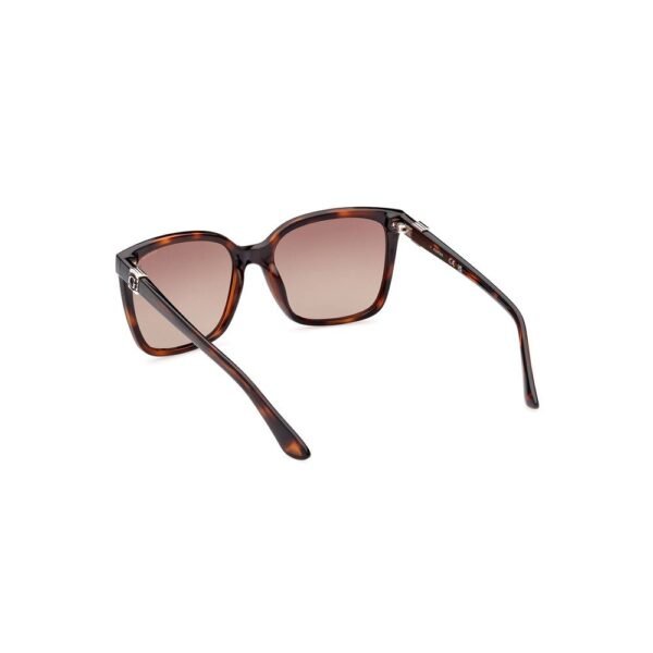 7467026.jpeg Brown Injected Women Sunglasses