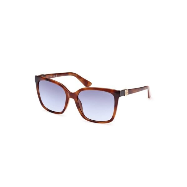 8186094.jpeg Brown Injected Sunglasses