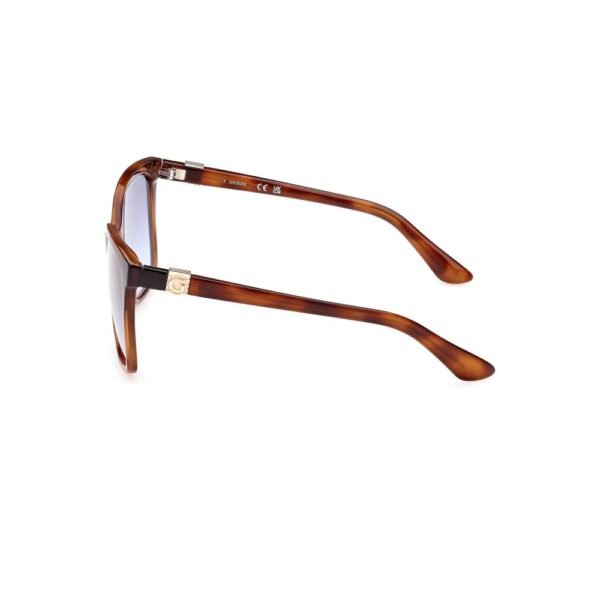 8186096.jpeg Brown Injected Sunglasses