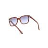 8186098.jpeg Brown Injected Sunglasses