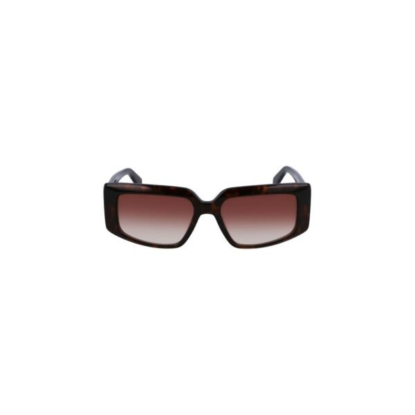 8434013.jpeg Brown Acetate Sunglasses