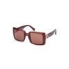 Brown Pantograph Sunglasses