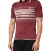 Cotton Burgundy Striped DG Logo Polo  T-shirt