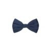 Blue Silk Bowtie